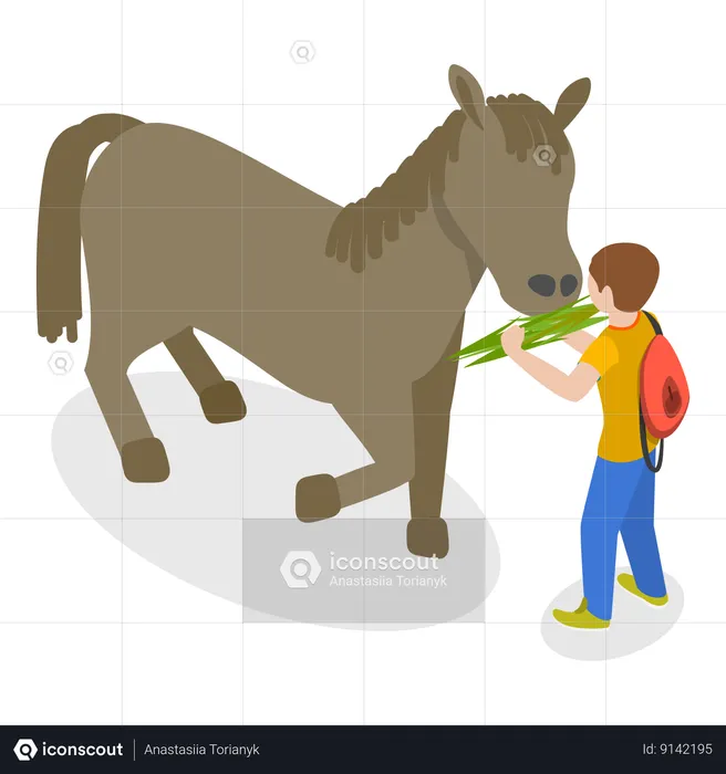 Boy feeding horse  Illustration