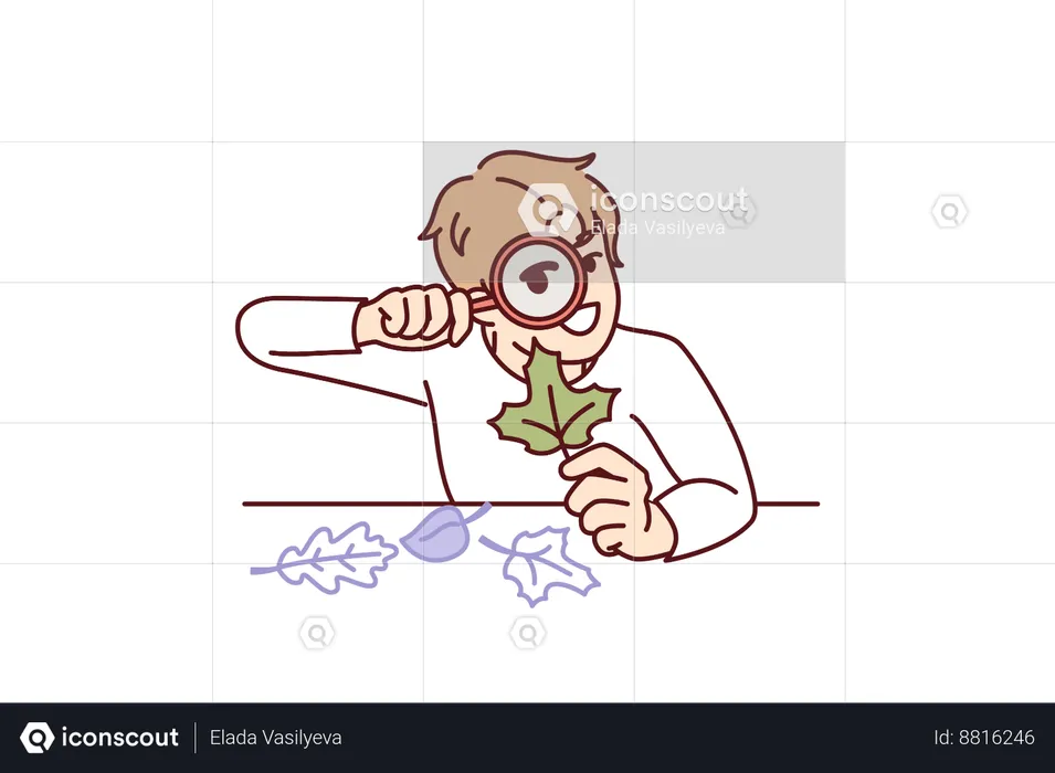 Boy is doing plant experiment  Illustration