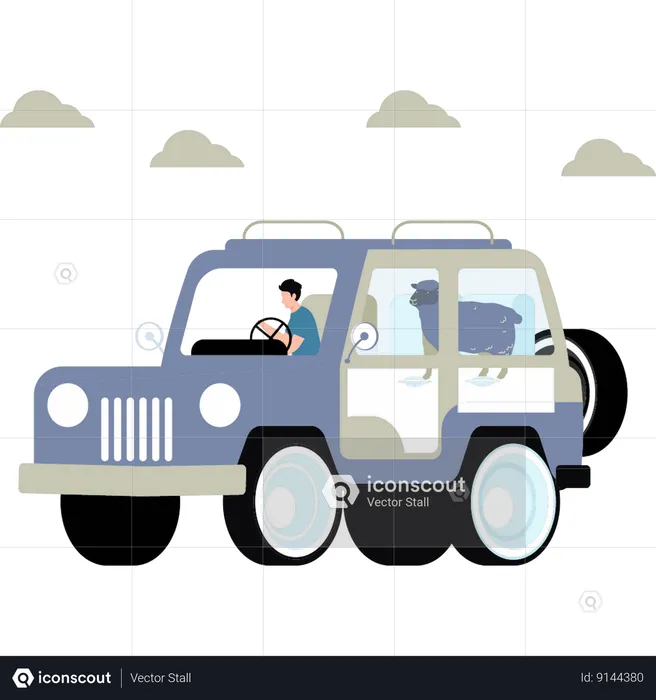 Boy is going to deliver sheep on the jeep  Illustration