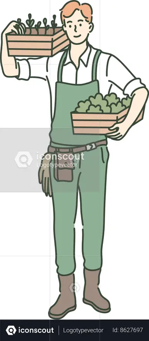 Boy is holding groceries  Illustration