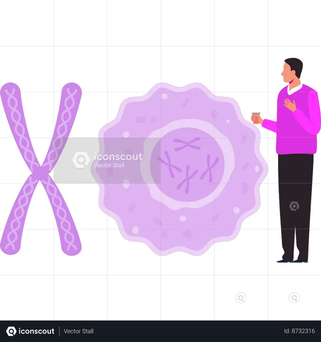 Boy is looking at the chromosomes  Illustration