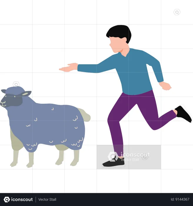 Boy is running towards sheep  Illustration