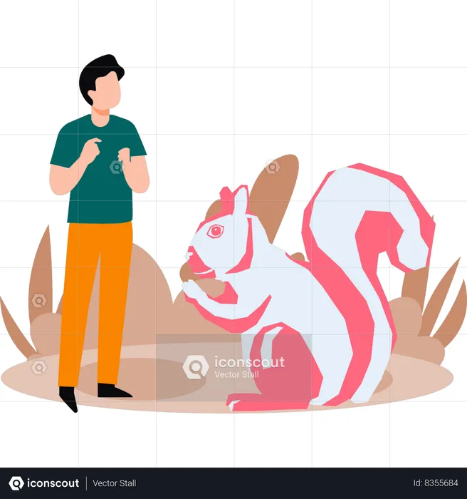 Boy is watching squirrel in forest  Illustration