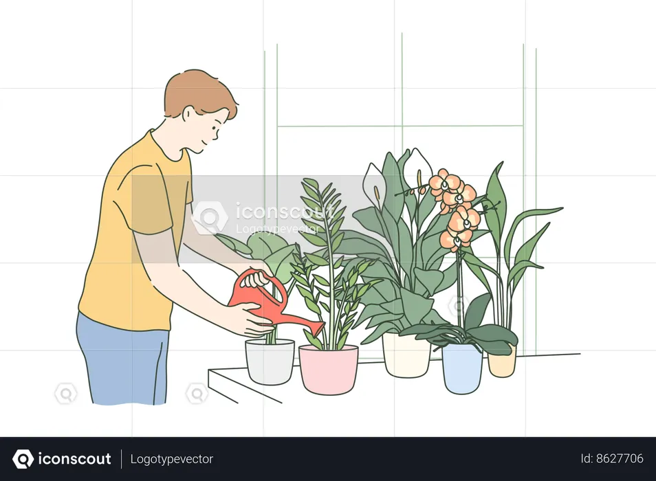 Boy is watering plants  Illustration