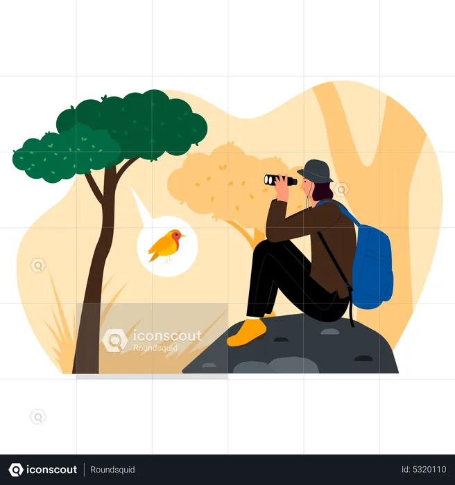 Boy observing bird  Illustration