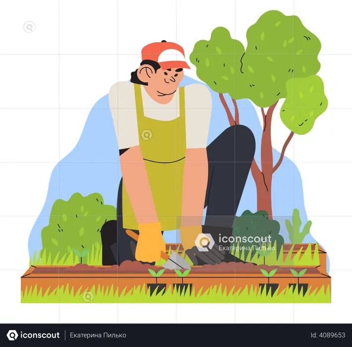 Boy planting a crop  Illustration