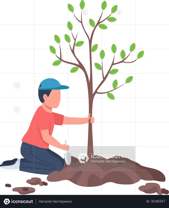 Boy planting tree  Illustration