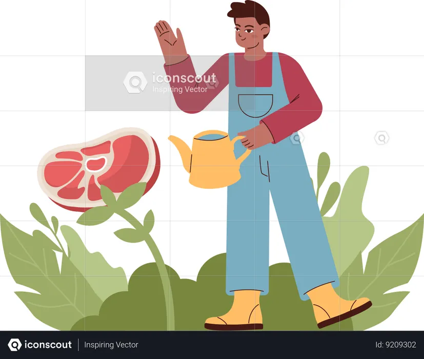 Boy plants organic vegetables  Illustration