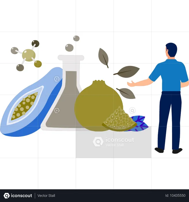 Boy pointing avocado and pomegranate molecules  Illustration