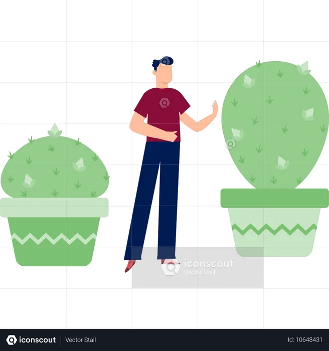 Boy  showing fer cactus tree  Illustration