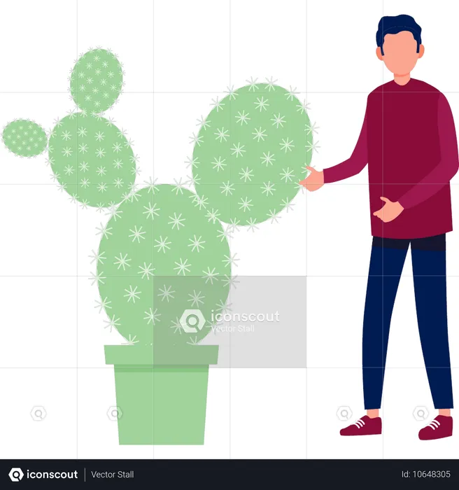 Boy showing Rebute cactus  Illustration