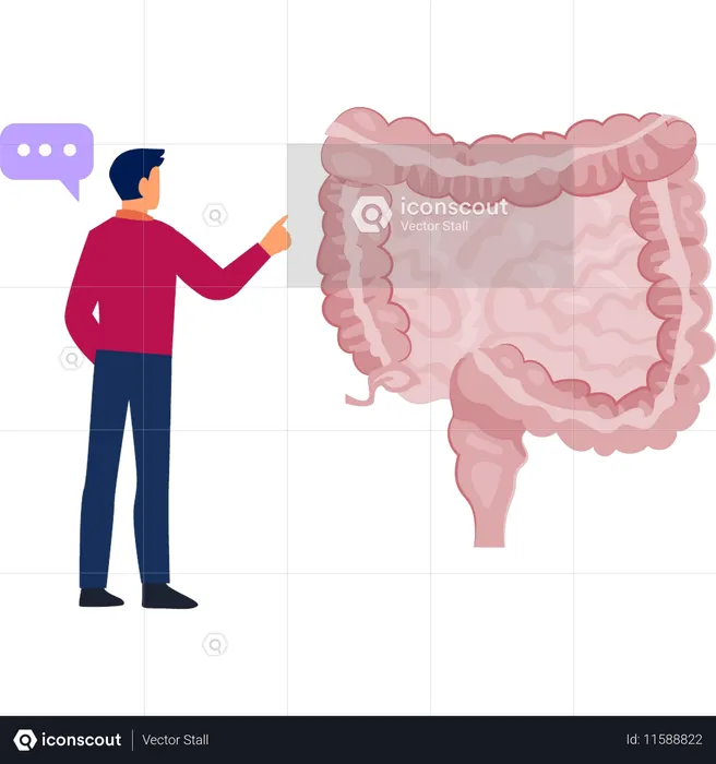 Boy  telling about colon  Illustration