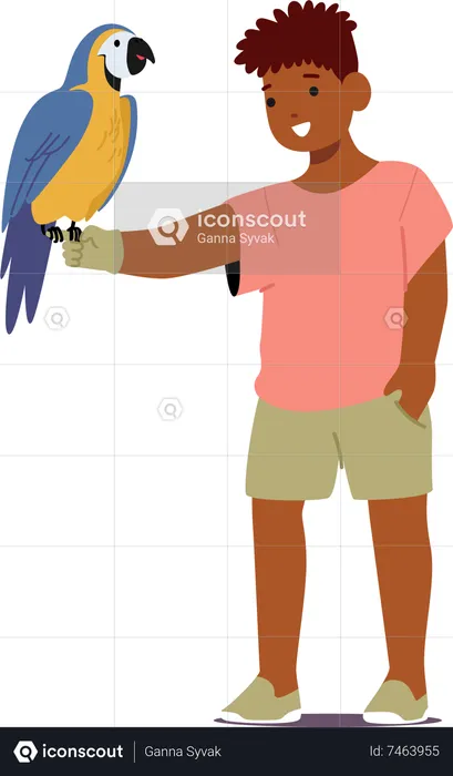 Boy with Colorful Parrot pet  Illustration