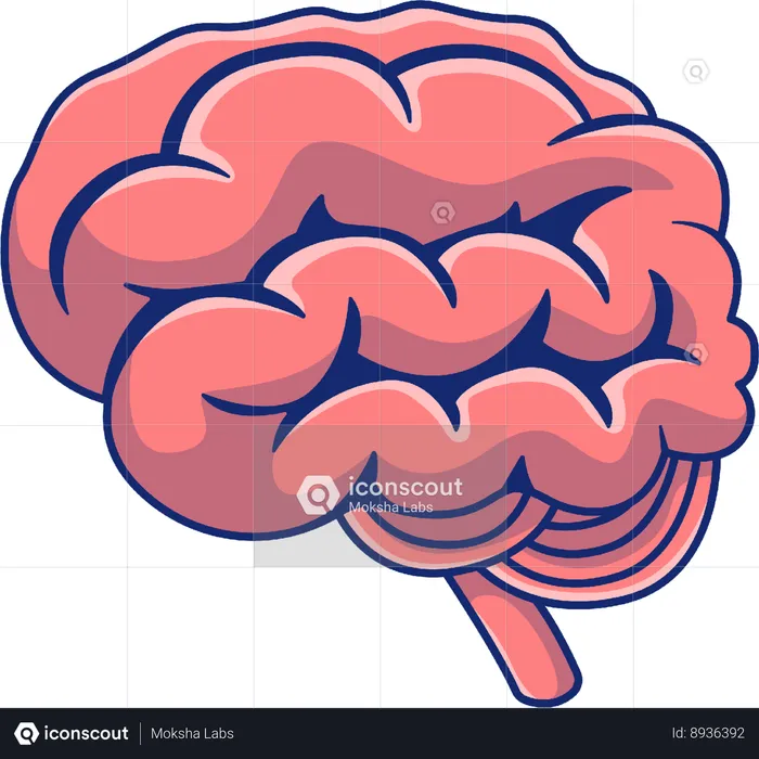 Brain  Illustration