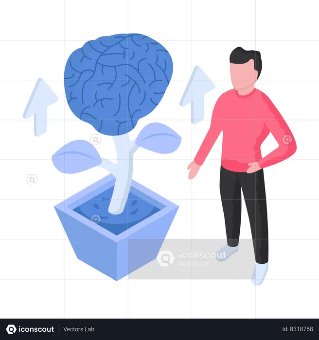 Brain Development  Illustration