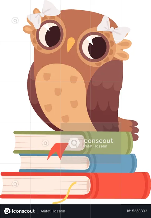 Bright owl sitting on book  Illustration
