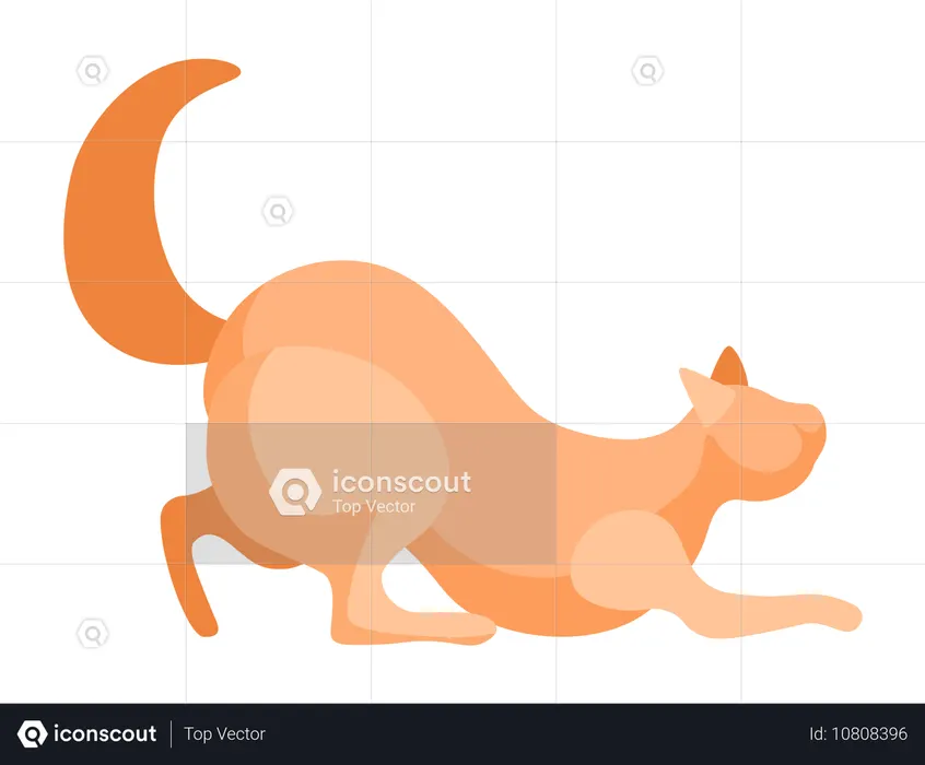 Brown Cat  Illustration