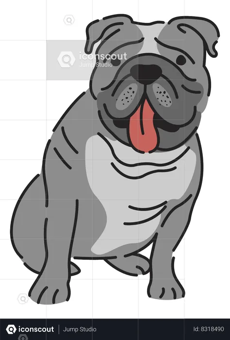 Bulldog  Illustration
