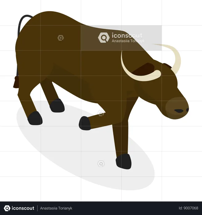 Bulls  Illustration