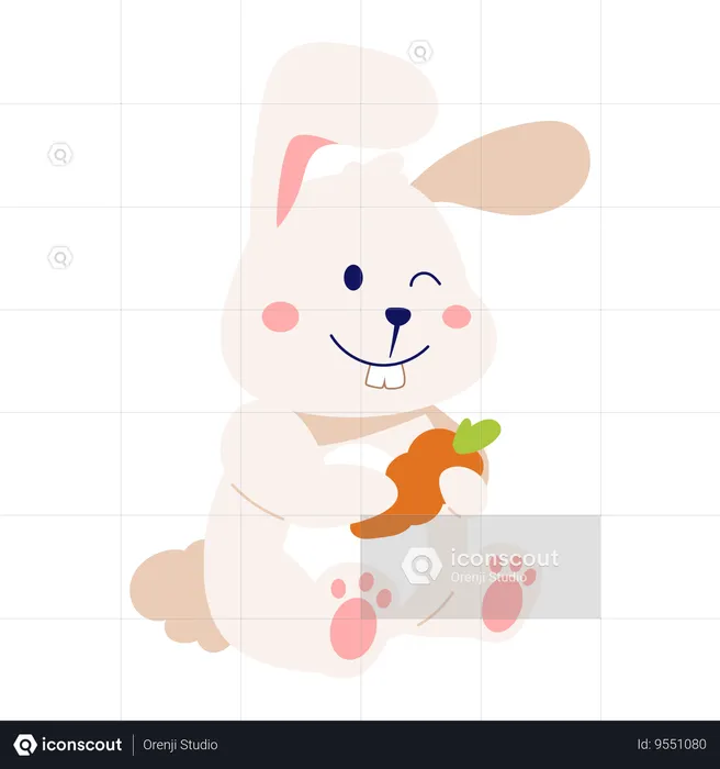 Bunny  Illustration