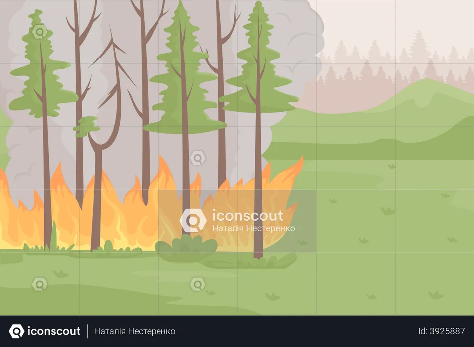 Burning forest  Illustration