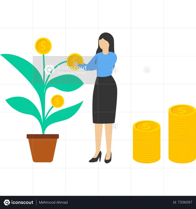 Businesswoman taking cash from money tree  Illustration