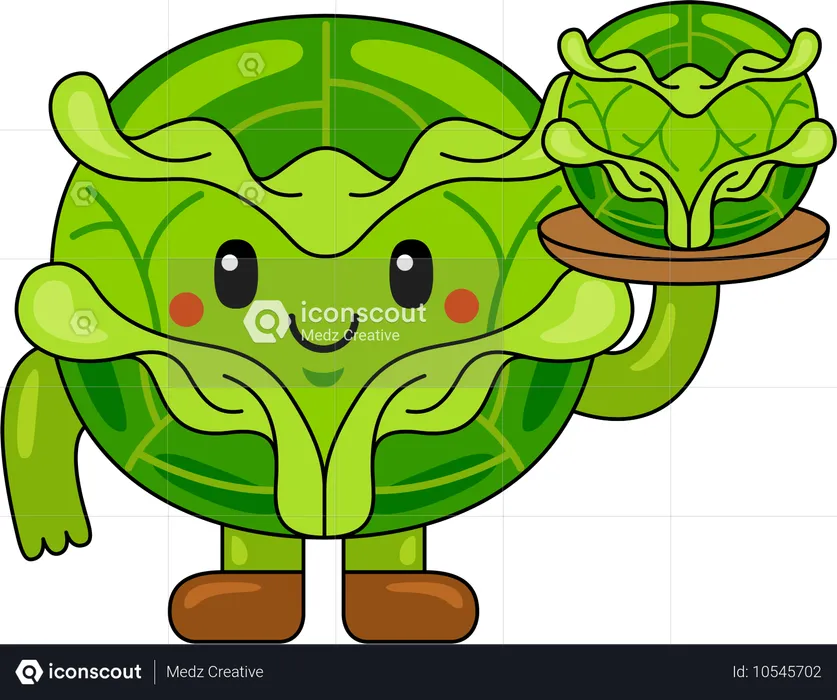 Cabbage Mascot holding Cabbage plate  Illustration