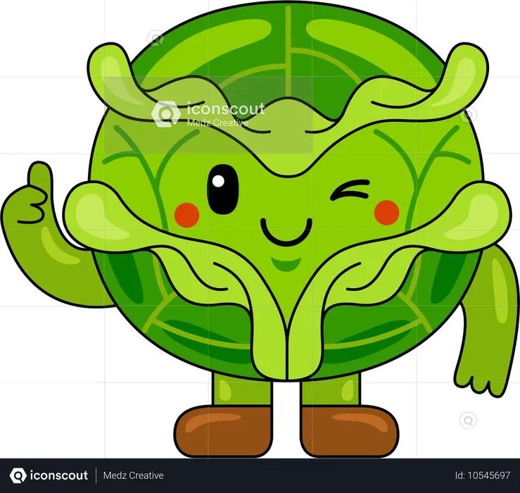 Cabbage Mascot showing thumbs up  Illustration