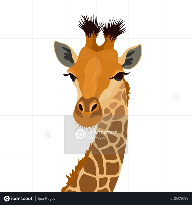 Cabeça de girafa  Ilustração
