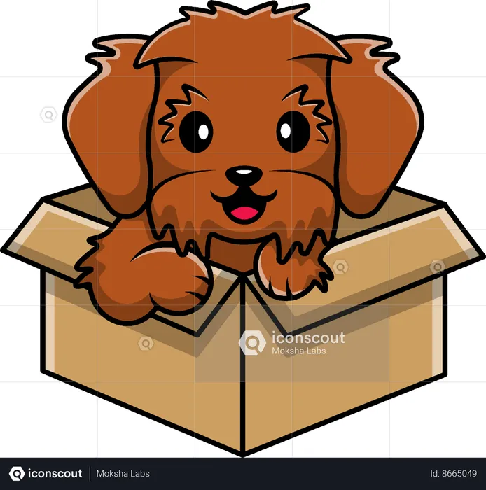 Cachorro brincando na caixa  Ilustração