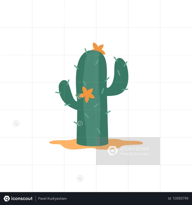 Cactus growing at desert  Illustration