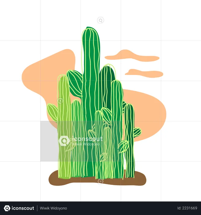 Cactus on sahara desert  Illustration