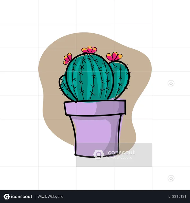 Cactus on the pot  Illustration