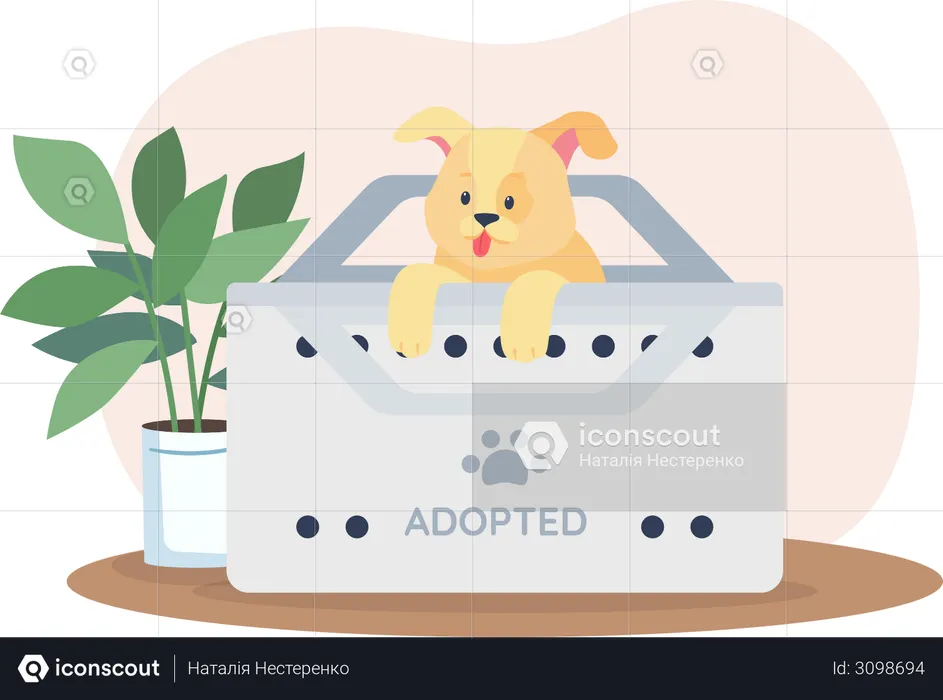 Perro en caja de adopción  Ilustración