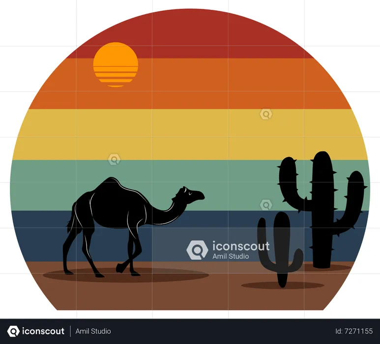 Camel in the desert  Illustration