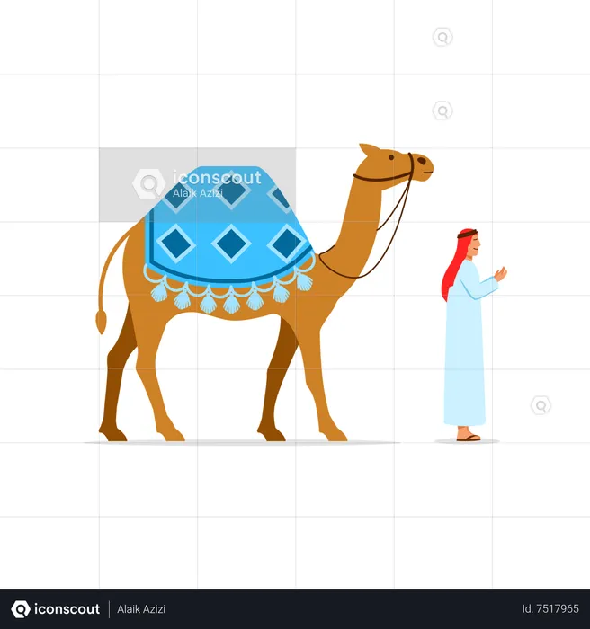 Camel Rider  Illustration