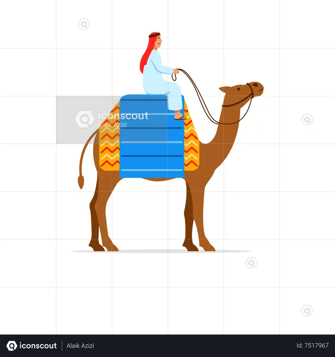 Camel Rider  Illustration