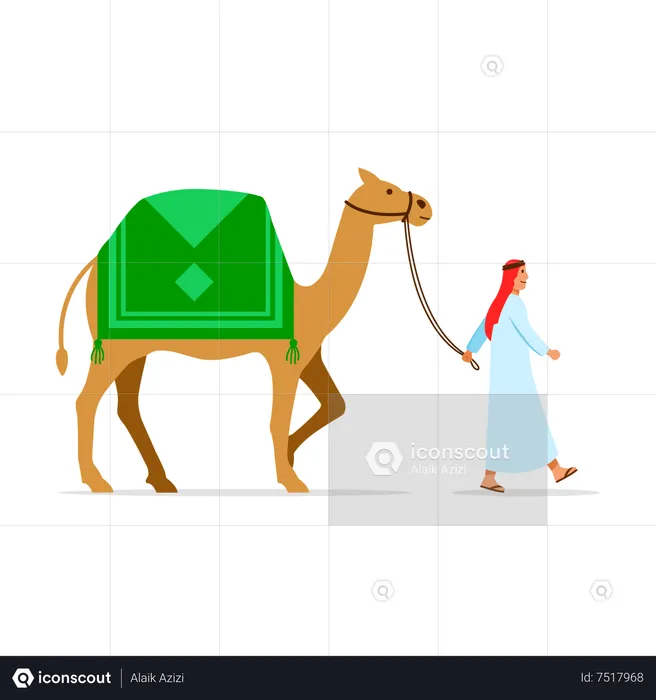 Camel Rider  Illustration