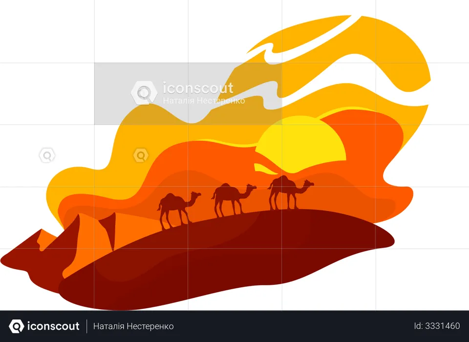 Camels walk in dunes  Illustration