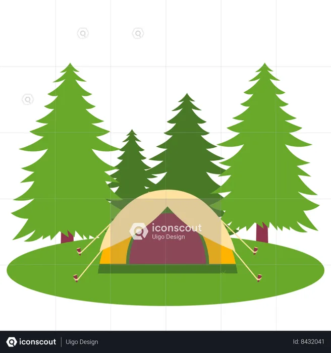 Camp Site  Illustration