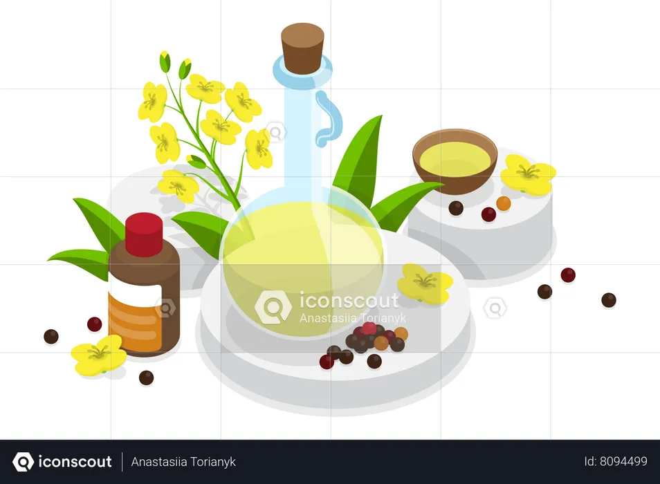 Canola Oil, Natural and Healthy Nutrition  Illustration