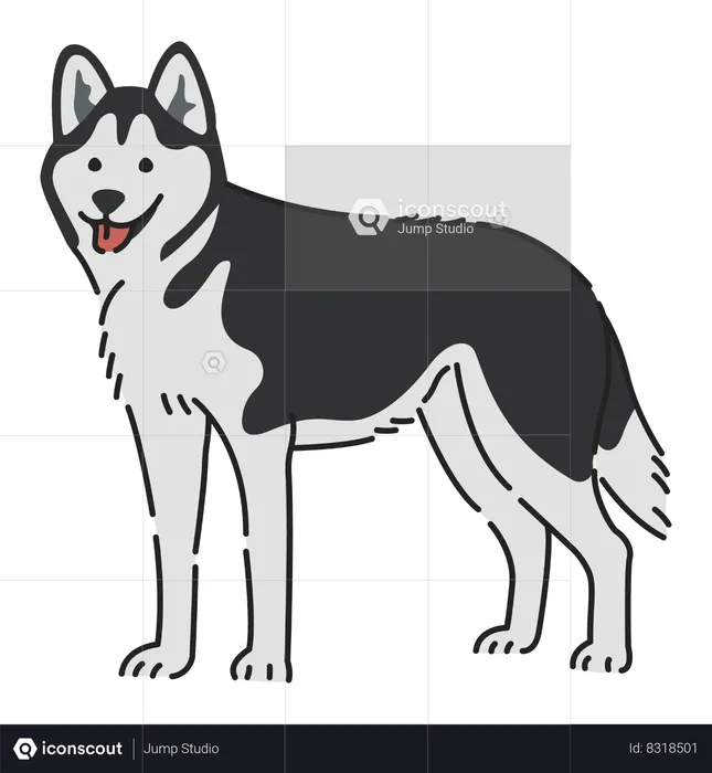 Cachorro husky siberiano  Ilustração