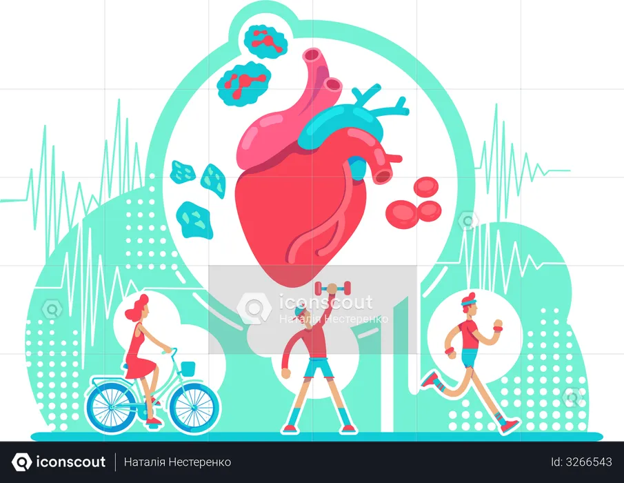 Cardiovascular system health care  Illustration