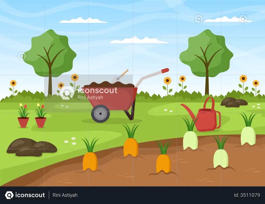 Carrot Farming  Illustration
