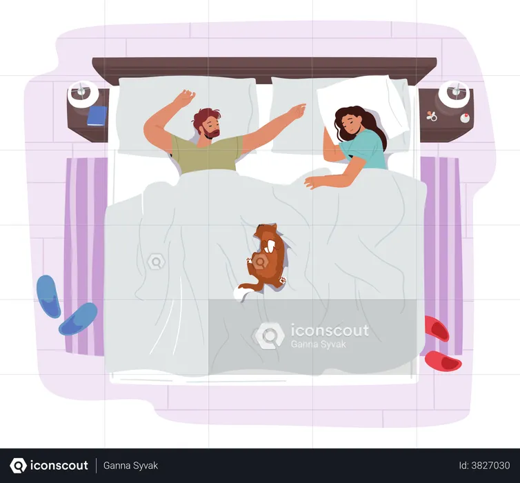 Jovem casal dormindo na cama com um gato engraçado  Ilustração