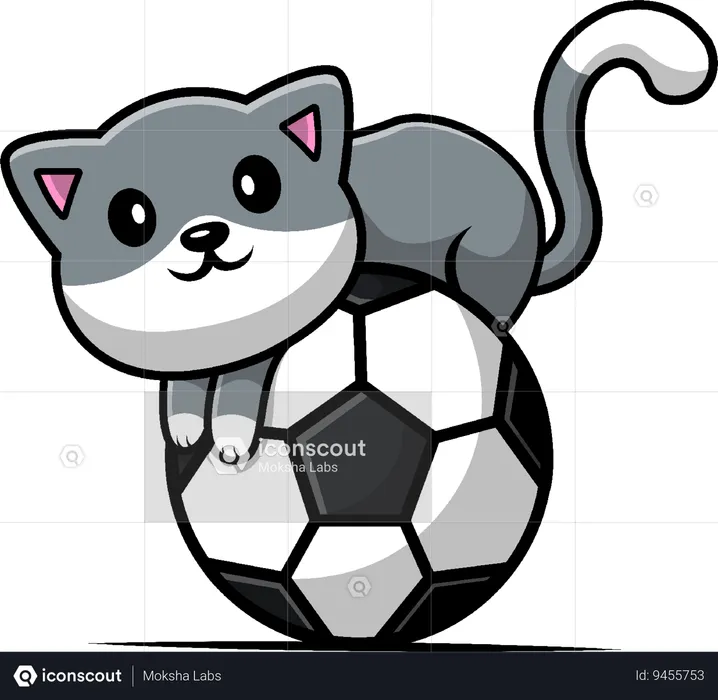 Cat On Soccer Ball  Illustration