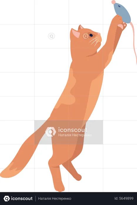 Cat playing with mouse  Illustration