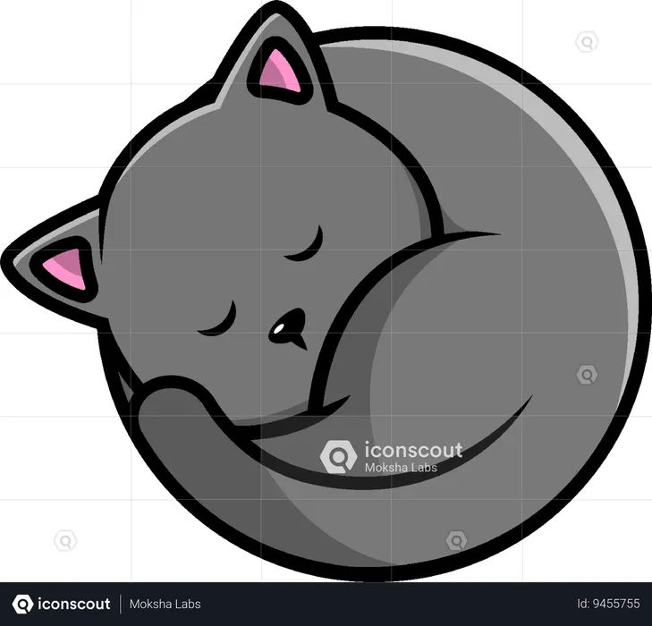 Cat Sleep  Illustration