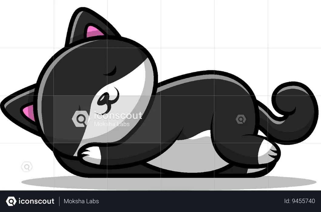 Cat Sleep  Illustration
