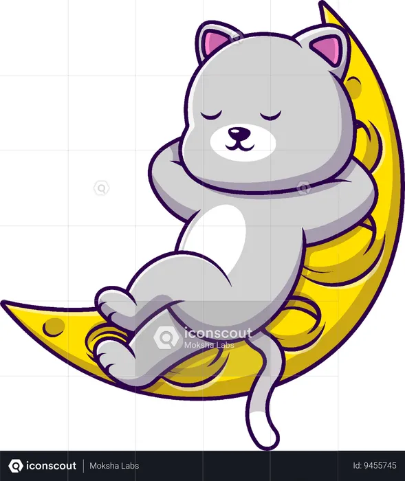 Cat Sleeping On Moon  Illustration